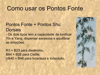 Como usar os Pontos Fonte Pontos Fonte + Pontos Shu Dorsais Os dois tipos tem a capacidade de tonificar Yin e Yang, dispersar excessos e equilibrar as emoções. R3 + B23 para desânimo,  B64 + B28 para Cistite, VB40 + B48 para Incerteza e Indecisão. 