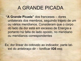 IG P FONTE LO 3º TÉCNICA:  LO DE P  e  FONTE DE  IG 4º TÉCNICA:  LO IG  e  FONTE DE  P A GRANDE PICADA “ A Grande Picada”  dos franceses – dores unilaterais dos membros, seguindo trajeto de um ou vários meridianos. Consideram que o corpo do lado da dor está em excesso de Energia e portanto há falta do lado oposto, no meridiano ou meridianos correspondentes  Ex: dor linear do cotovelo ao indicador, parte lat-ext do antebraço dir – tonificar  IG6  esq 