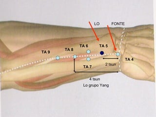 TA 5 TA 6 TA 7 TA 8 TA 9 TA 4 2 tsun 4 tsun Lo grupo Yang LO FONTE 