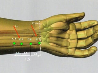 C 4 C 5  C 6  C 7  0,5 0,5 0,5 Lo Fonte 