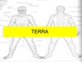 TERRA 