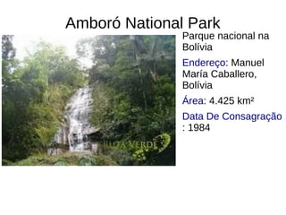 Amboró National Park
Parque nacional na
Bolívia
Endereço: Manuel
María Caballero,
Bolívia
Área: 4.425 km²
Data De Consagração
: 1984
 