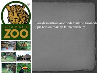 Para descontrair você pode visitar o Gramado Zoo, Que tem animais da fauna brasileira.  