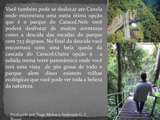 E muitos outros que fazem as pessoas se apaixonarem com suas belezas Um dos principais pontos turísticos mais visitados de Canela é a cascata do CaracolCom 723 degraus também com o elevador panorâmica que da para apesar totalmente a queda da água da Cascata do Caracol e ainda e 181 metros de rochas basálticas e sendo que ela é uma das 12 melhores cascatas do Brasil.Produzido por: Nilton R. Dondé, Gracielle T. O. Rocha e Patrícia Debortoli