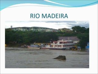 RIO MADEIRA 