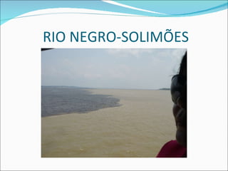 RIO NEGRO-SOLIMÕES 