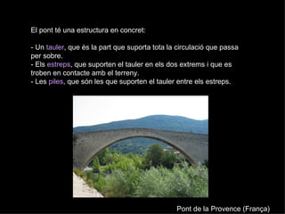 El pont té una estructura en concret: - Un  tauler , que és la part que suporta tota la circulació que passa per sobre.  - Els  estreps , que suporten el tauler en els dos extrems i que es troben en contacte amb el terreny.  - Les  piles , que són les que suporten el tauler entre els estreps. Pont de la Provence (França) 