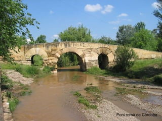 Pont romà de Còrdoba 