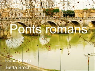 Ponts romans Duna Bosch Berta Broch 