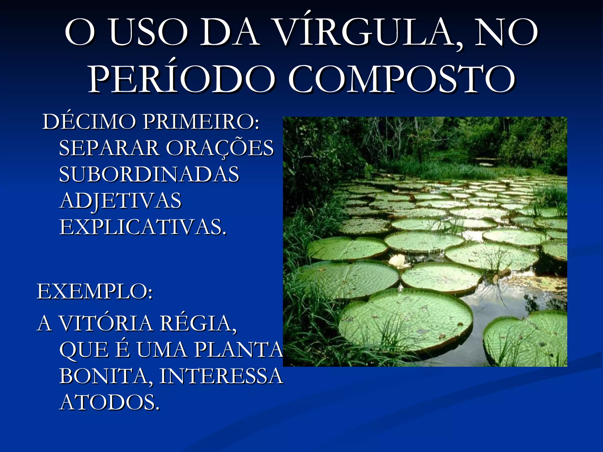 O USO DA VÍRGULA, NO PERÍODO COMPOSTO DÉCIMO PRIMEIRO: SEPARAR ORAÇÕES SUBORDINADAS ADJETIVAS EXPLICATIVAS. EXEMPLO:  A VITÓRIA RÉGIA, QUE É UMA PLANTA BONITA, INTERESSA ATODOS. 