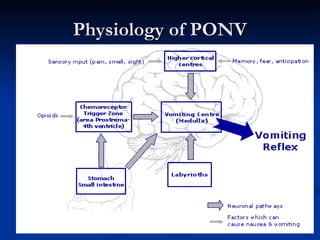Physiology of PONV 