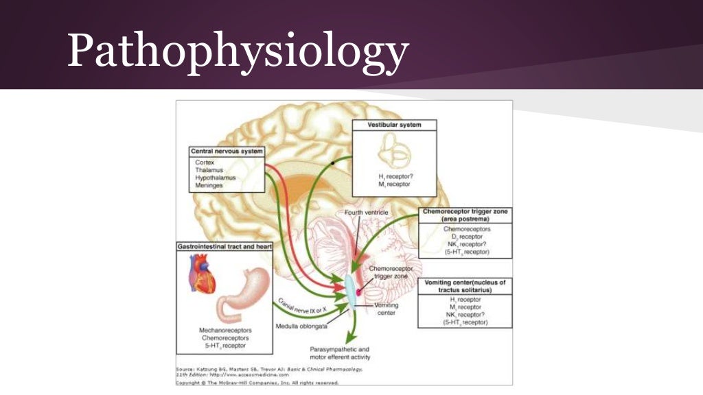 Exploration of Postoperative Nausea and Vomiting