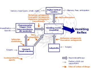 Figure 6 summarises the sites of actions of the drugs that influence PONV.
                                                                                                                                                            
 