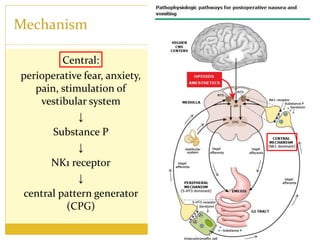 Mechanism
Central:
perioperative fear, anxiety,
pain, stimulation of
vestibular system
↓
Substance P
↓
NK1 receptor
↓
central pattern generator
(CPG)
 