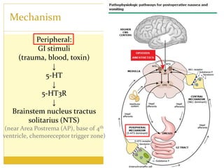 Mechanism
Peripheral:
GI stimuli
(trauma, blood, toxin)
↓
5-HT
↓
5-HT3R
↓
Brainstem nucleus tractus
solitarius (NTS)
(near Area Postrema (AP), base of 4th
ventricle, chemoreceptor trigger zone)
 