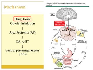 Mechanism
Drug, toxin:
Opioid, inhalation
↓
Area Postrema (AP)
↓
DA, 5-HT
↓
central pattern generator
(CPG)
 