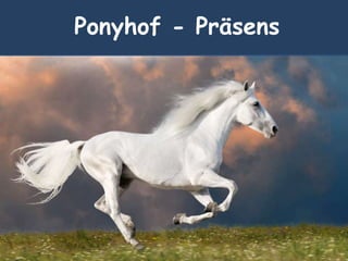 Ponyhof - Präsens
 