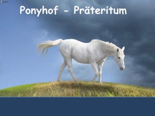 Ponyhof - Präteritum
 