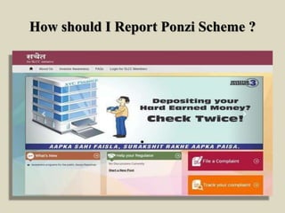 How should I Report Ponzi Scheme ?
 