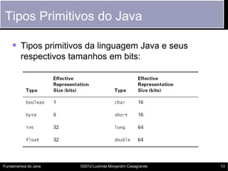 Tipos Primitivos do Java

     Tipos primitivos da linguagem Java e seus
        respectivos tamanhos em bits:




Fundamentos do Java   ©2012 Ludimila Monjardim Casagrande   13
 