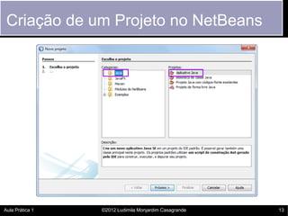 Criação de um Projeto no NetBeans




Aula Prática 1   ©2012 Ludimila Monjardim Casagrande   13
 