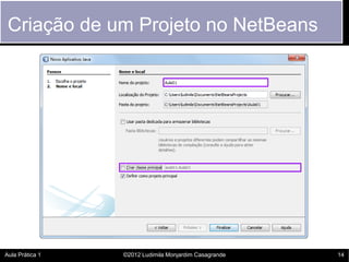Criação de um Projeto no NetBeans




Aula Prática 1   ©2012 Ludimila Monjardim Casagrande   14
 