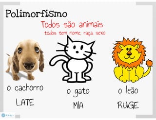 Programação Orientada a Objetos