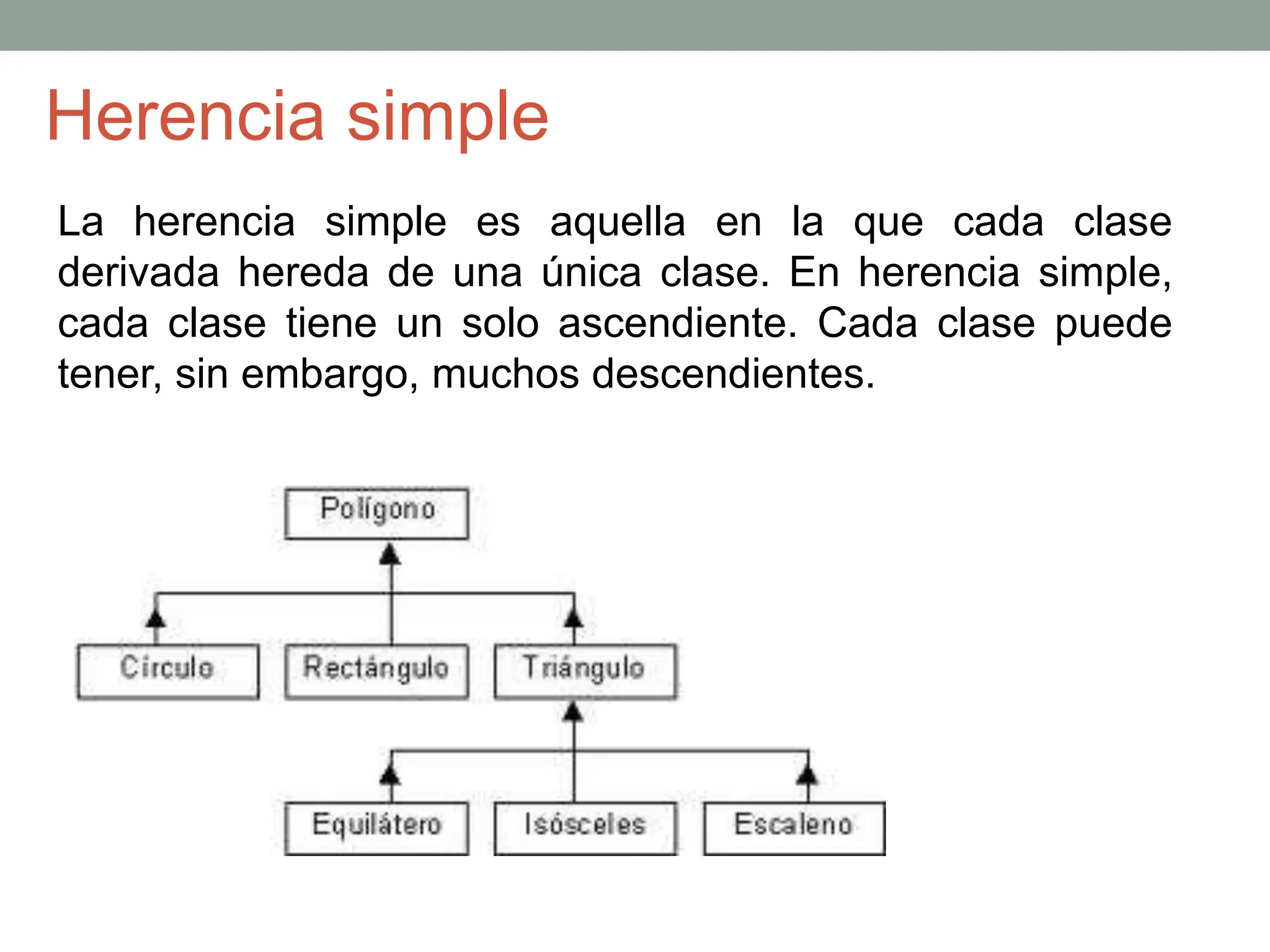 Herencia simple
La herencia simple es aquella en la que cada clase
derivada hereda de una única clase. En herencia simple,
cada clase tiene un solo ascendiente. Cada clase puede
tener, sin embargo, muchos descendientes.
 