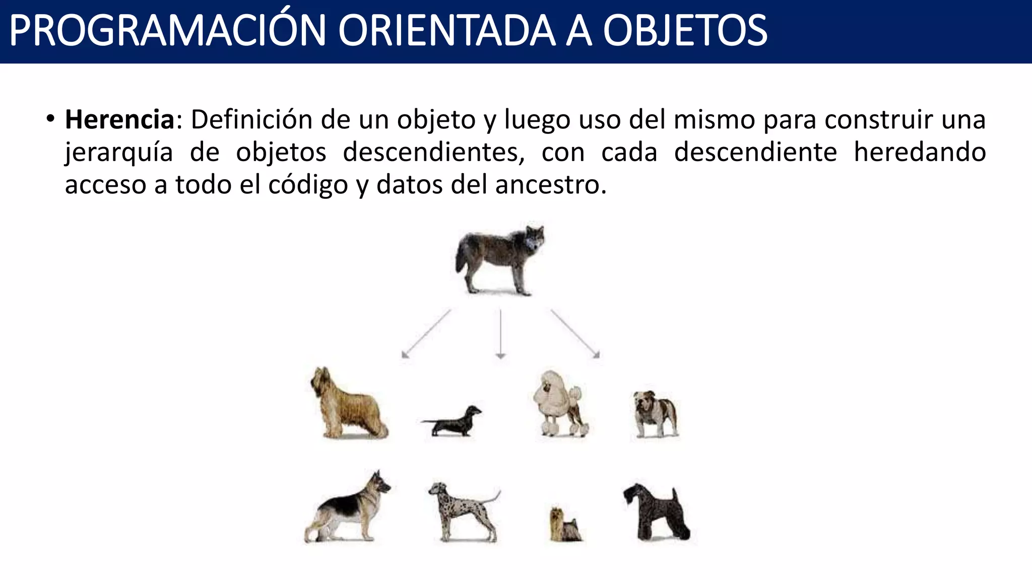 PROGRAMACIÓN ORIENTADA A OBJETOS
• Herencia: Definición de un objeto y luego uso del mismo para construir una
jerarquía de objetos descendientes, con cada descendiente heredando
acceso a todo el código y datos del ancestro.
 