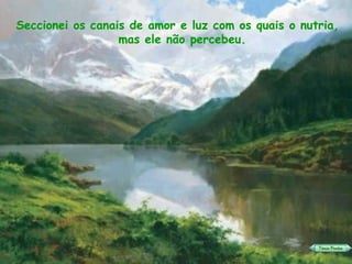 Seccionei os canais de amor e luz com os quais o nutria, mas ele não percebeu. 