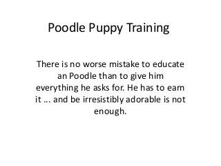 Poodle Puppy Training

There is no worse mistake to educate
        an Poodle than to give him
everything he asks for. He has to earn
it ... and be irresistibly adorable is not
                  enough.
 