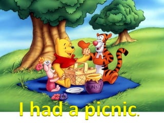 I had a picnic.
 