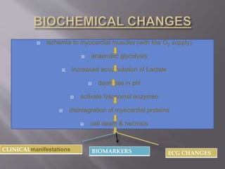  ischemia to myocardial muscles (with low O2 supply) 
 anaerobic glycolysis 
 increased accumulation of Lactate 
 decrease in pH 
 activate lysosomal enzymes 
 disintegration of myocardial proteins 
 cell death & necrosis 
CLINICALmanifestations BIOMARKERS ECG CHANGES 
 