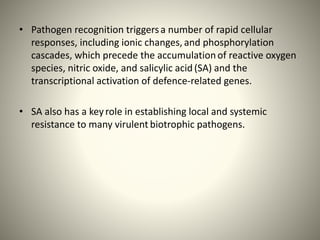 • Pathogen recognition triggersa number of rapid cellular
responses, including ionic changes, and phosphorylation
cascades, which precede the accumulationof reactive oxygen
species, nitric oxide, and salicylic acid (SA) and the
transcriptional activation of defence-related genes.
• SA also has a keyrole in establishing local and systemic
resistance to many virulent biotrophic pathogens.
 