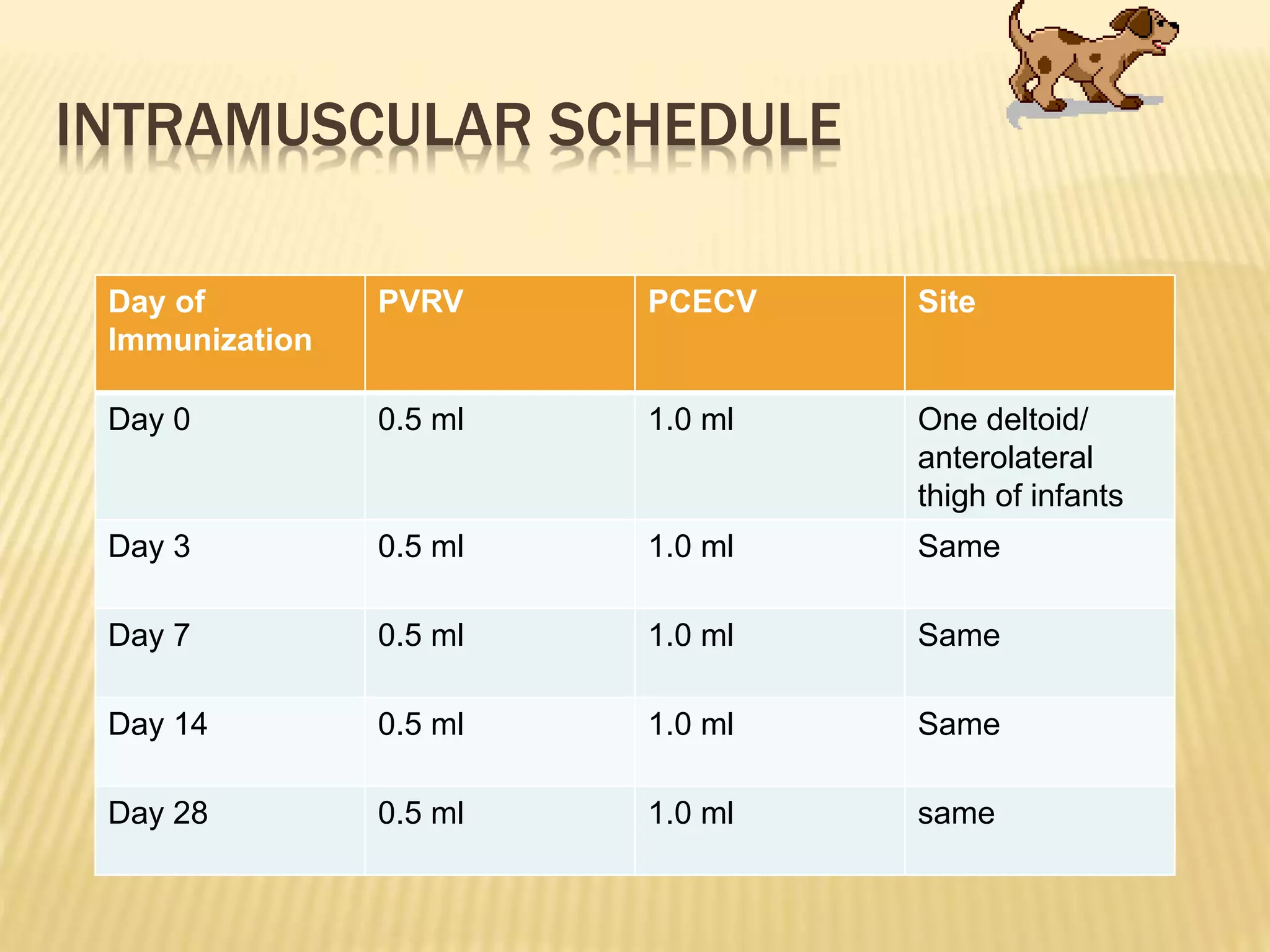 Rabies | PPTX