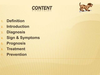 Rabies | PPTX