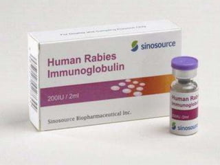 Rabies | PPTX
