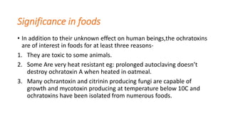 Significance in foods
• In addition to their unknown effect on human beings,the ochratoxins
are of interest in foods for at least three reasons-
1. They are toxic to some animals.
2. Some Are very heat resistant eg: prolonged autoclaving doesn’t
destroy ochratoxin A when heated in oatmeal.
3. Many ochrantoxin and citrinin producing fungi are capable of
growth and mycotoxin producing at temperature below 10C and
ochratoxins have been isolated from numerous foods.
 