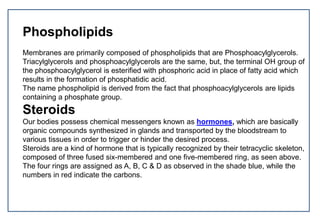 Phospholipids
Membranes are primarily composed of phospholipids that are Phosphoacylglycerols.
Triacylglycerols and phosphoacylglycerols are the same, but, the terminal OH group of
the phosphoacylglycerol is esterified with phosphoric acid in place of fatty acid which
results in the formation of phosphatidic acid.
The name phospholipid is derived from the fact that phosphoacylglycerols are lipids
containing a phosphate group.
Steroids
Our bodies possess chemical messengers known as hormones, which are basically
organic compounds synthesized in glands and transported by the bloodstream to
various tissues in order to trigger or hinder the desired process.
Steroids are a kind of hormone that is typically recognized by their tetracyclic skeleton,
composed of three fused six-membered and one five-membered ring, as seen above.
The four rings are assigned as A, B, C & D as observed in the shade blue, while the
numbers in red indicate the carbons.
 