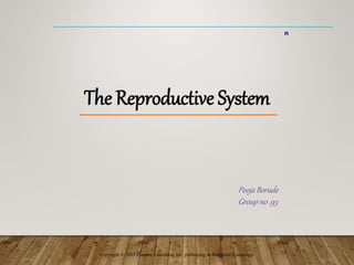 Copyright © 2003 Pearson Education, Inc. publishing as Benjamin Cummings
n
Pooja Borude
Group no .93
The Reproductive System
 