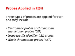 Fish Enumeration FISH Presentation,FISH presentation detailed | PPTX