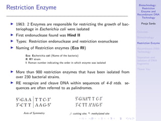 Biotechnology: Restriction Enzyme and Recombinant DNA Technology | PDF