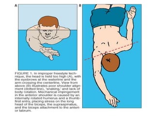 Biomechanics Of Swimming | PPTX