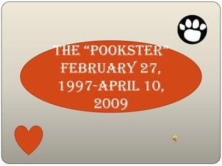 the “Pookster”
 February 27,
1997-April 10,
     2009
 