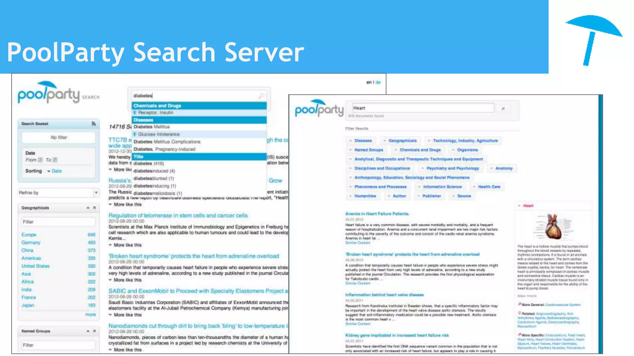 PoolParty Search Server
 