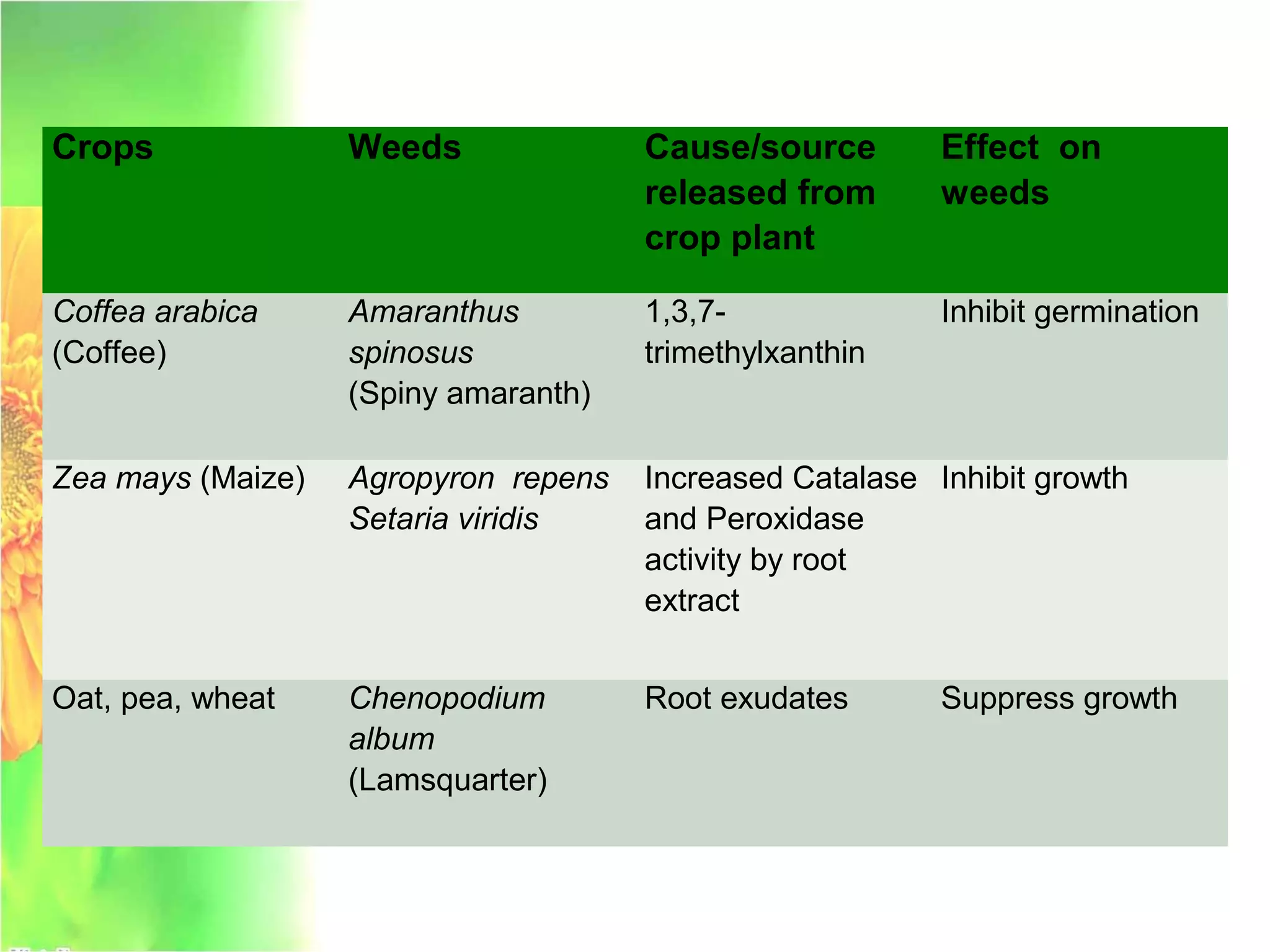 Crops Weeds Cause/source
released from
crop plant
Effect on
weeds
Coffea arabica
(Coffee)
Amaranthus
spinosus
(Spiny amaranth)
1,3,7-
trimethylxanthin
Inhibit germination
Zea mays (Maize) Agropyron repens
Setaria viridis
Increased Catalase
and Peroxidase
activity by root
extract
Inhibit growth
Oat, pea, wheat Chenopodium
album
(Lamsquarter)
Root exudates Suppress growth
 