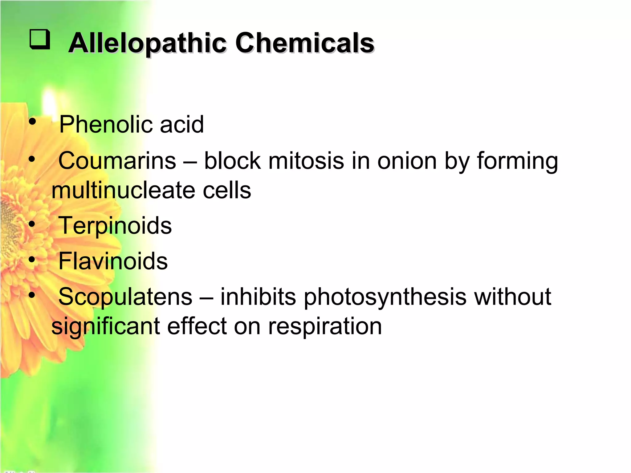  Allelopathic ChemicalsAllelopathic Chemicals
• Phenolic acid
• Coumarins – block mitosis in onion by forming
multinucleate cells
• Terpinoids
• Flavinoids
• Scopulatens – inhibits photosynthesis without
significant effect on respiration
 
