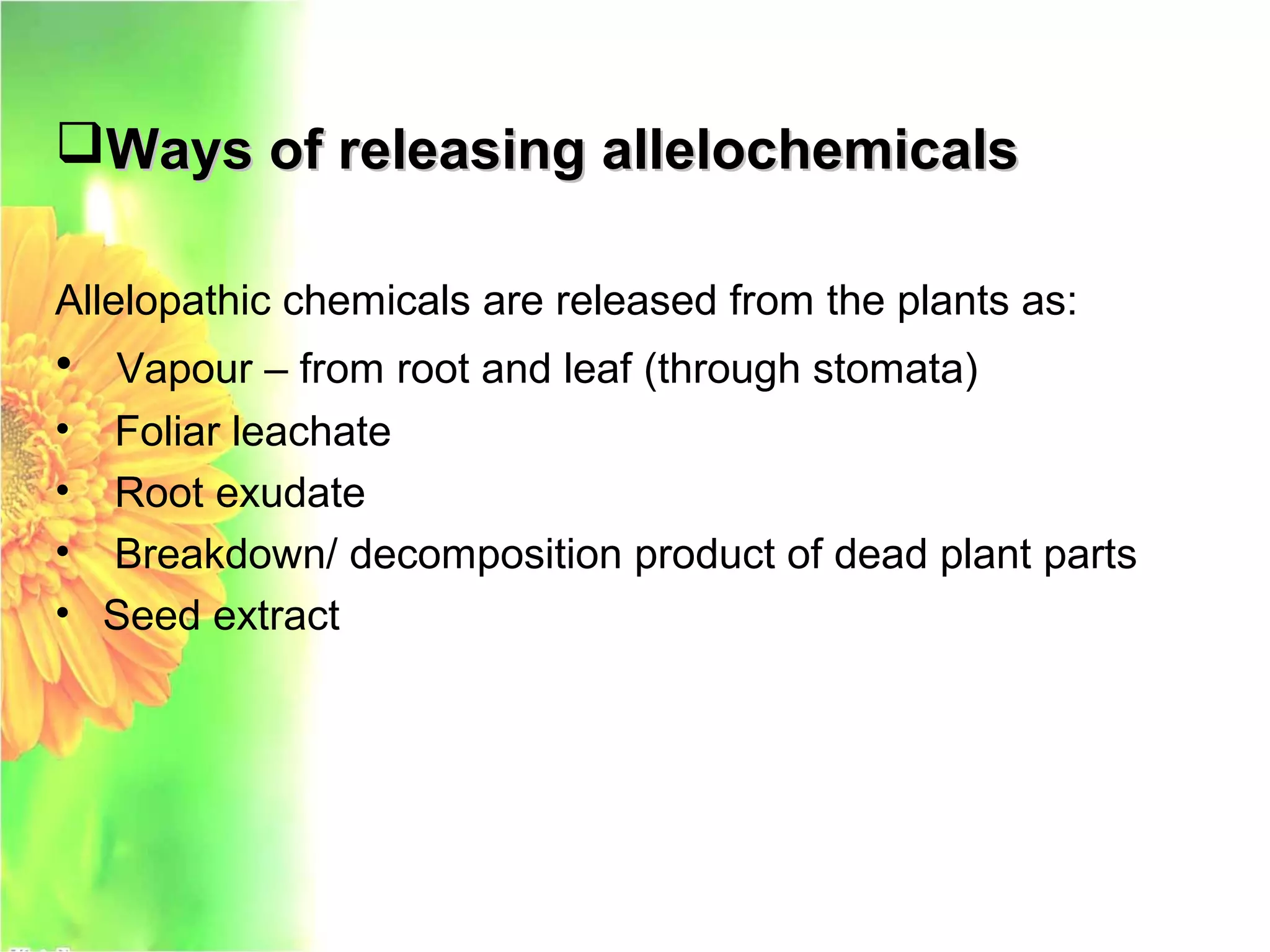 Ways of releasing allelochemicalsWays of releasing allelochemicals
Allelopathic chemicals are released from the plants as:
• Vapour – from root and leaf (through stomata)
• Foliar leachate
• Root exudate
• Breakdown/ decomposition product of dead plant parts
• Seed extract
 