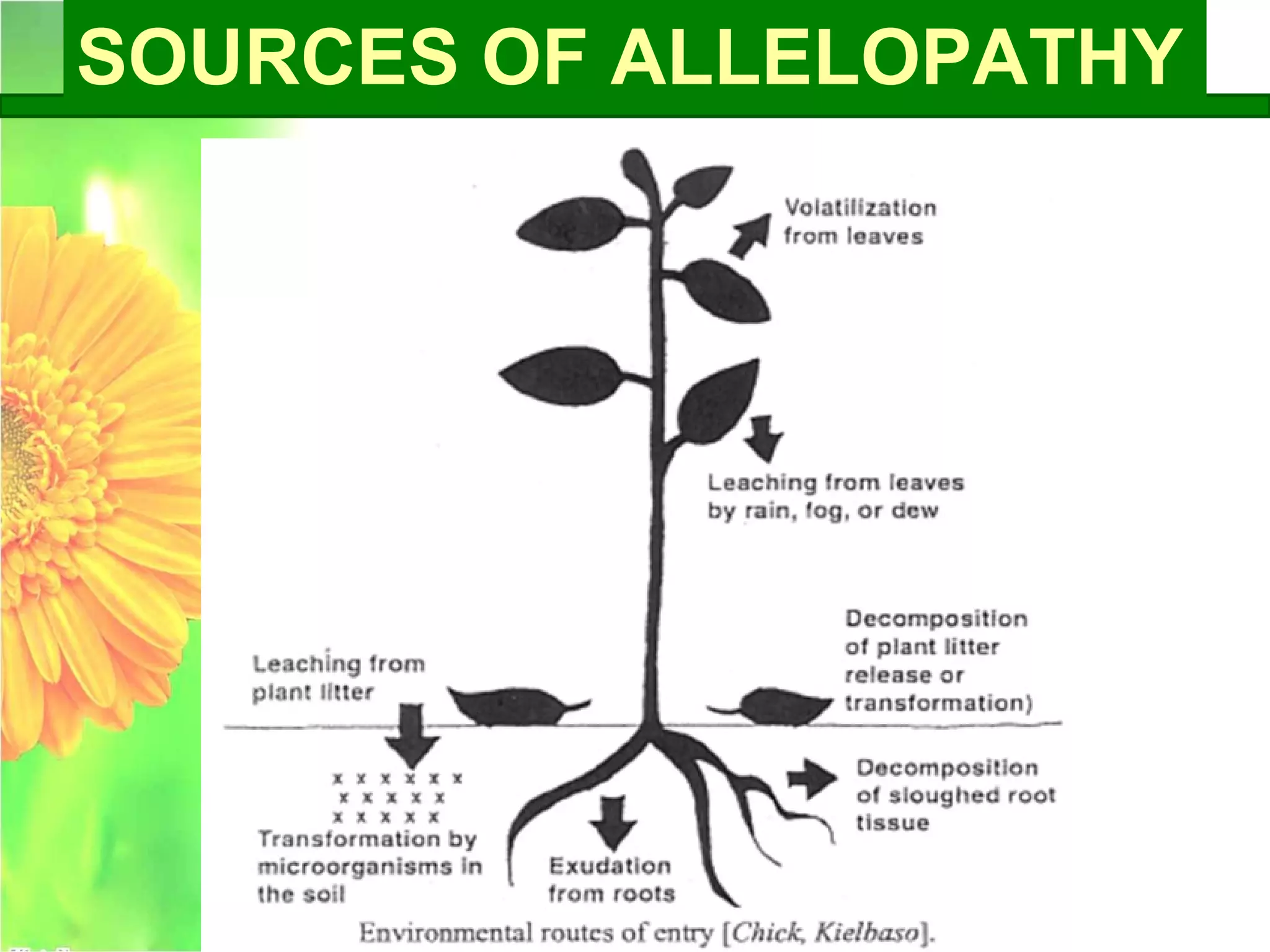 SOURCES OF ALLELOPATHY
 