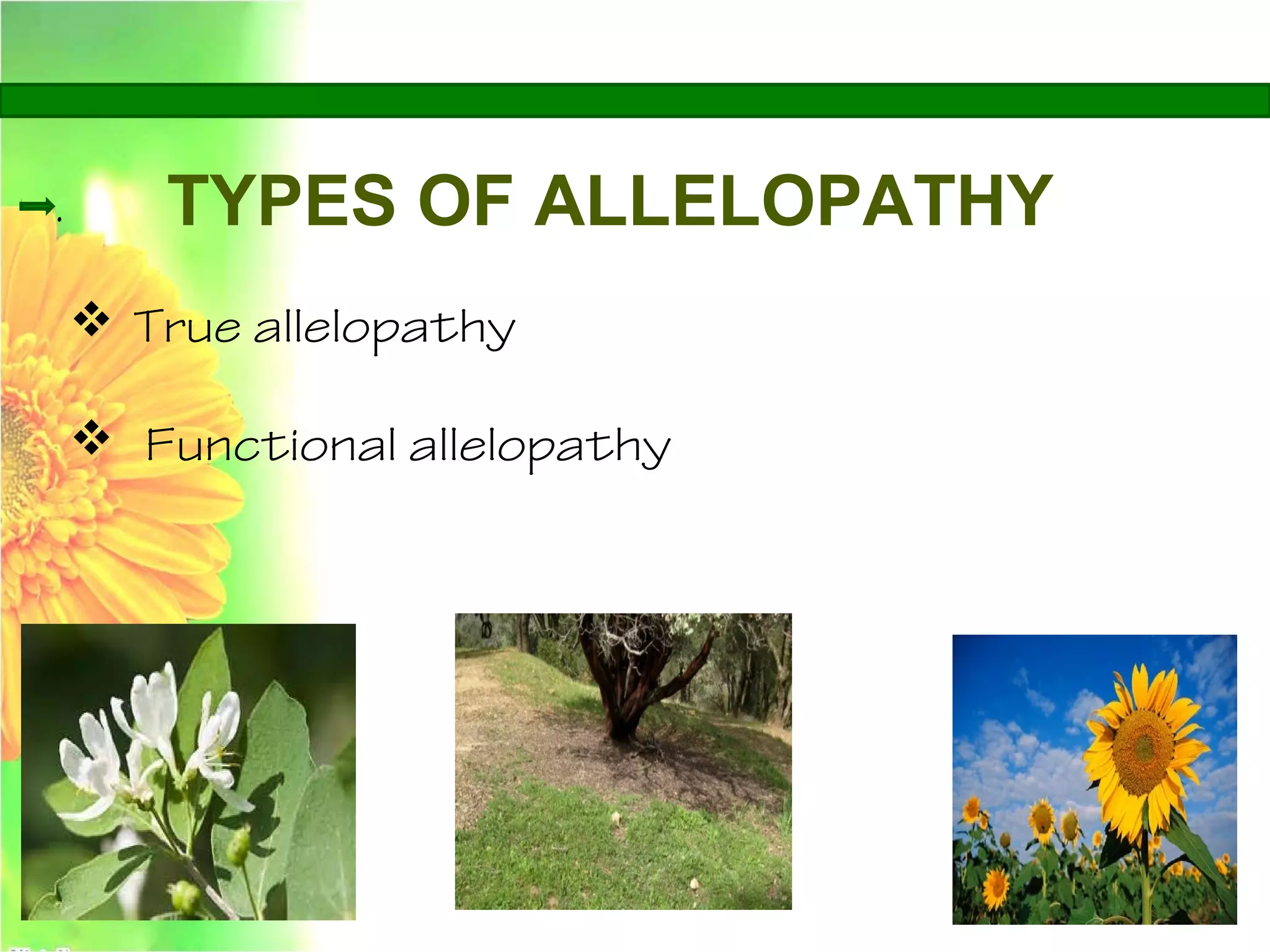 . TYPES OF ALLELOPATHY
 True allelopathy
 Functional allelopathy
 